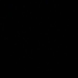 Meet your Posher, Brennan